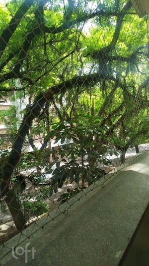 Image 24 - 863001