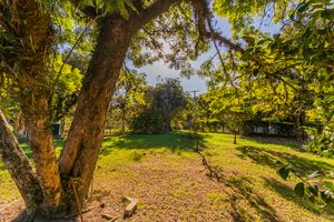 Image 87 - 863207