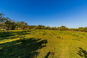 Image 62 - 863207