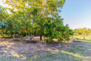 Image 68 - 863207