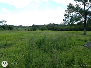 Image 6 - 863286