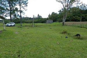 Image 5 - 863286