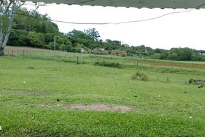 Image 0 - 863286