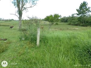Image 5 - 863286