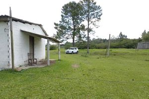 Image 4 - 863286