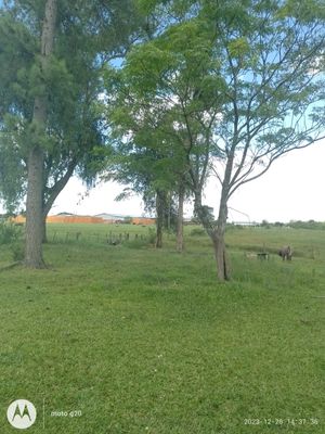 Image 1 - 863286