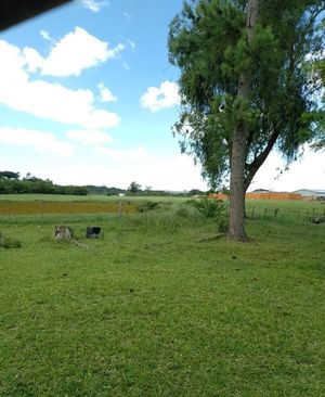 Image 2 - 863286