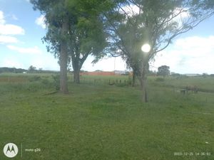 Image 3 - 863286