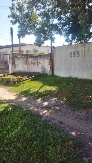 Image 4 - 864026