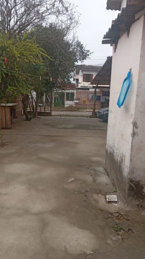 Image 9 - 864124