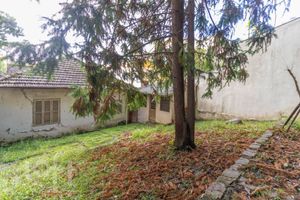 Image 9 - 864168