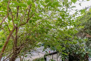 Image 32 - 864281