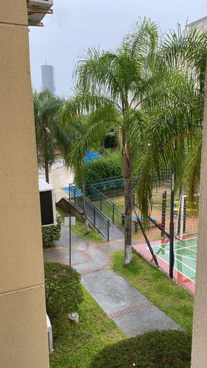 Image 8 - 864302