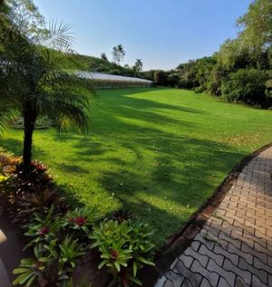 Image 10 - 864383
