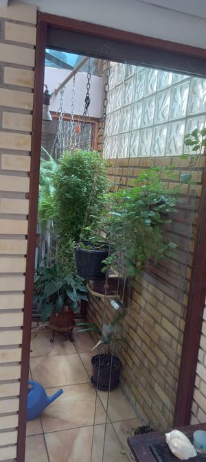 Image 12 - 864446