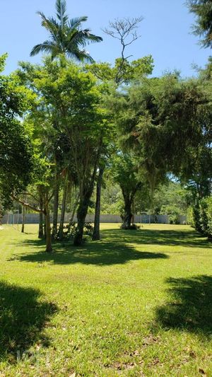 Image 14 - 864767