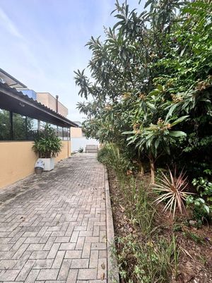 Image 31 - 864819