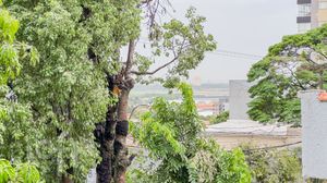 Image 32 - 865173