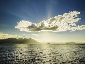 Image 51 - 865286