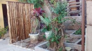 Image 4 - 865412