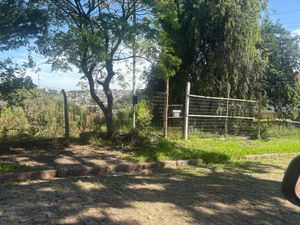 Image 3 - 865447