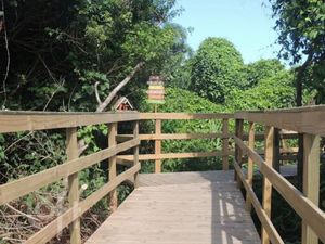 Image 17 - 865571