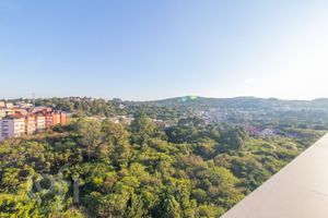 Image 39 - 865591