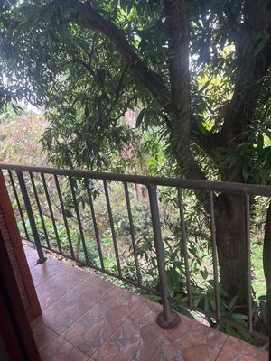 Image 29 - 865677
