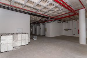 Image 60 - 865728