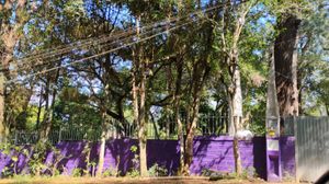 Image 11 - 865936