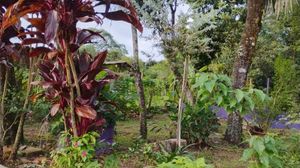 Image 15 - 865936