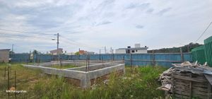 Image 5 - 866064