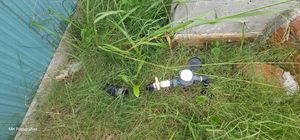 Image 4 - 866064