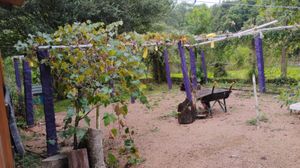 Image 42 - 866186