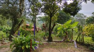 Image 31 - 866186