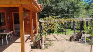 Image 4 - 866186