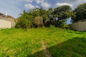 Image 83 - 866233