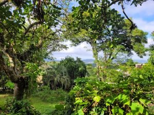 Image 1 - 866273