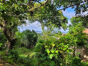Image 4 - 866273
