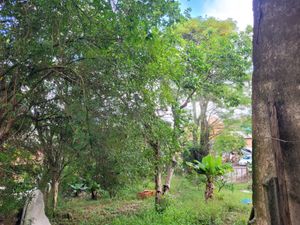 Image 2 - 866273