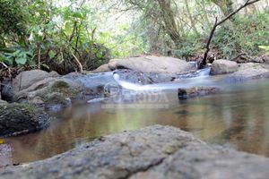 Image 5 - 866340