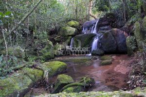 Image 4 - 866369