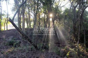 Image 11 - 866384