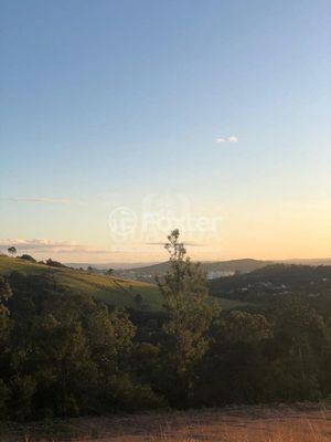 Image 5 - 866420