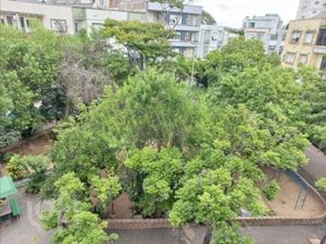Image 11 - 866429