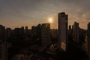 Image 7 - 866527