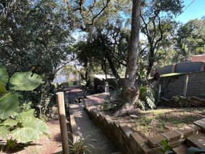 Image 39 - 866606
