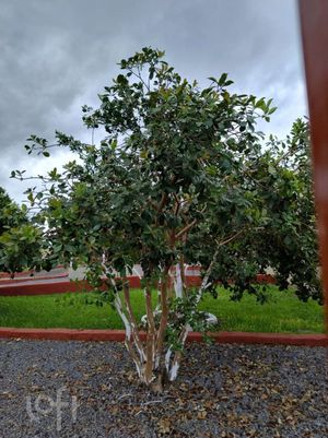 Image 39 - 866635
