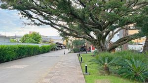 Image 15 - 866643