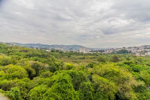 Image 13 - 866809